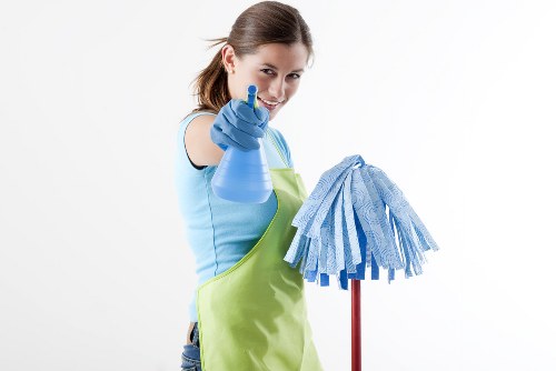 Regular cleaning routine in a bright living room