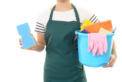 Professional upholstery cleaning for a living room sofa