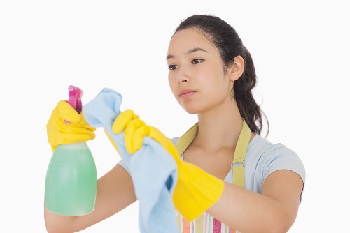 Regular cleaning supplies for kitchen and bathroom hygiene