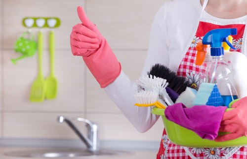 Professional rug cleaning setup for delicate floor coverings
