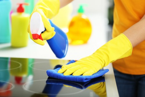 Fresh and spotless home interior after move in cleaning service