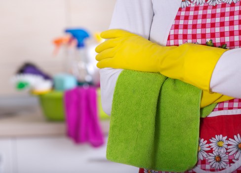 Cleaning supplies and tools used for oven cleaning