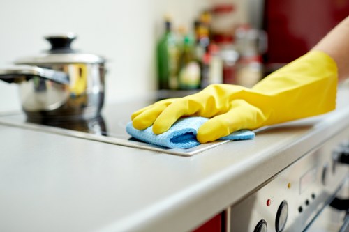 Deep house cleaning of bathroom tiles and fixtures