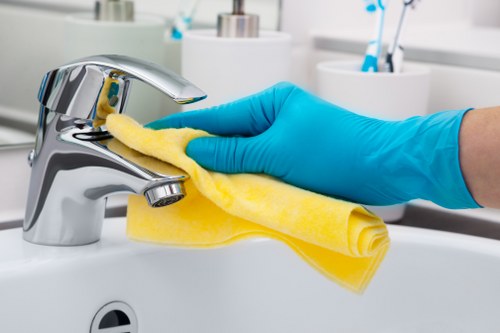 Cleaning supplies and microfiber cloths for home maintenance