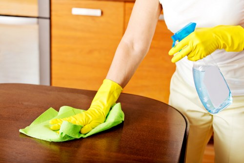 Detailed move in cleaning of cabinets, floors, and surfaces in a new home